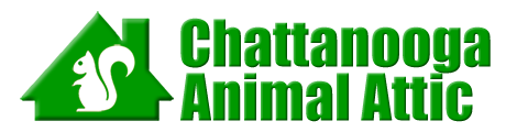 Chattanooga Animal Attic